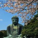 一緒に鎌倉のお寺や、遺跡巡りしてくださる方募集