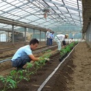 正社員募集★農業に興味のある方歓迎！