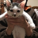 里親探してます