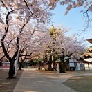 稼げます！日給３万円以上～可能！