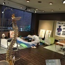エステ、ヨガの体験とカイロプラクティックが格安で受けられるチャン...