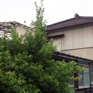 値下げ【敷金･礼金０円】福島駅徒歩７分貸家、敷金･礼金・仲介料０...