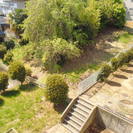 草刈り後の処理