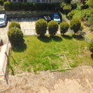 草刈り後の処理の画像