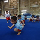 宇治市の体操＆託児教室　NPO法人Sports Kids Station　-スポーツアスリート学園-の画像