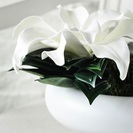 初めましての画像