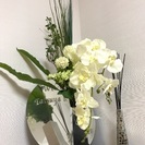 初めましての画像