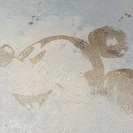 ディズニーランド   or    シー − 東京都