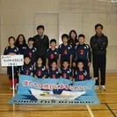 【6月4日・10日】ドッジボール体験会のお知らせ（小学生、集まれ！！）