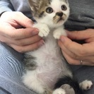 ４兄弟で一番おチビちゃん