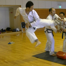 テコンドーやりたい人、募集！