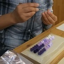 つまみ細工で作るポインセチアのオーナメントの画像