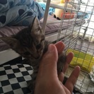 幸せにしてあげてください。 - 松原市