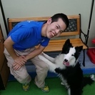 ドッグダンス始めませんか？？の画像