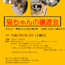 6/10 (土) 猫の譲渡会　byにゃんころ隊