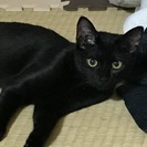 優しい方 − 愛知県
