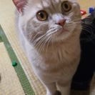 里親様を探しています。
