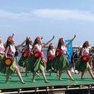 Hula Halau O Nohealani　生徒募集中！！