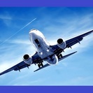 【正社員】未経験大歓迎！大人気・羽田空港内での航空郵便物の仕分け作業☆彡の画像