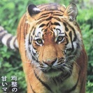 ラジオやろーよー、ってかやって♪