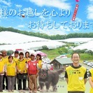 ７月から８月までの短期間のアルバイトです。の画像