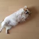 家庭の事情で