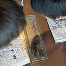 夏休み小学生向け　親子英語クラス「英語で理科実験」の画像