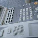 IWATSU ビジネスフォン18キー多機能電話機・中古２