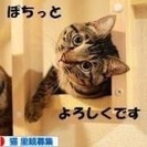 劇団四季に興味ある人！観劇にチャレンジしてみませんか。 - 高崎市