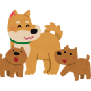 子犬の輪♪