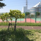 初心者向けテニス🎾