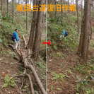 高尾山の喧騒に飽きたら■戦国時代の史跡と自然を同時に満喫『八王子...