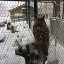 京都郡、行橋市、田川郡、築上郡の家庭教師の画像