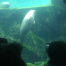 京都郡、行橋市、田川郡、築上郡の家庭教師の画像