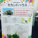トリマーさん 急募情報