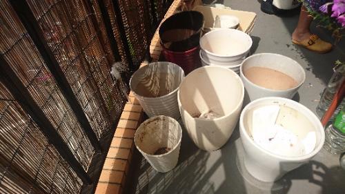陶器の鉢、8個
