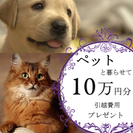 ★★ １０万円分 プレゼント ★★ ペット複数OK｜無料 wi-fi