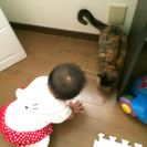 門真市 ママ友