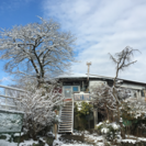 岩倉・国際会館ミュージックライブハウス   スタッフ募集