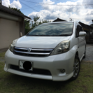 アイシス プラタナ 検H30年 12月まで