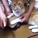 生後1年です。