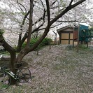 クロスバイク＆ロードバイク乗りませんか？ - スポーツ
