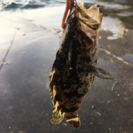 釣り仲間\( 'ω' )/ 他のアウトドアなども！