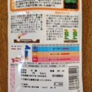 ひまわりの種 約30粒（サカタのタネ）の画像