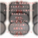 【純正品同等】スレンダートーン交換パッド（５セット）の画像