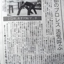 産経新聞朝刊