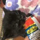大切にしてくれる方に