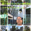 庭木の剪定 伐採 手入れ致します。【所沢市 東村山市 富士見市】