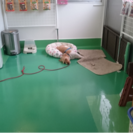 社員募集  250000万以上