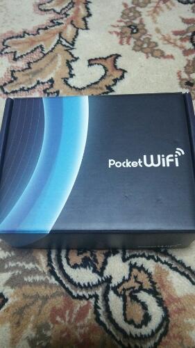 その他 pocketWi-Fi 305ZT